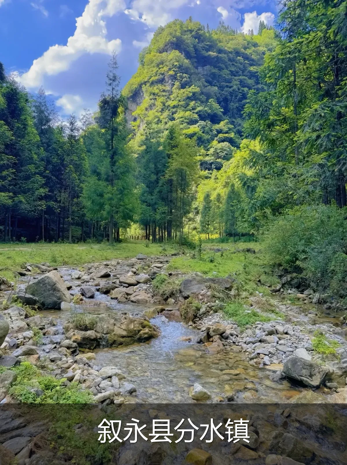 叙永县分水镇
