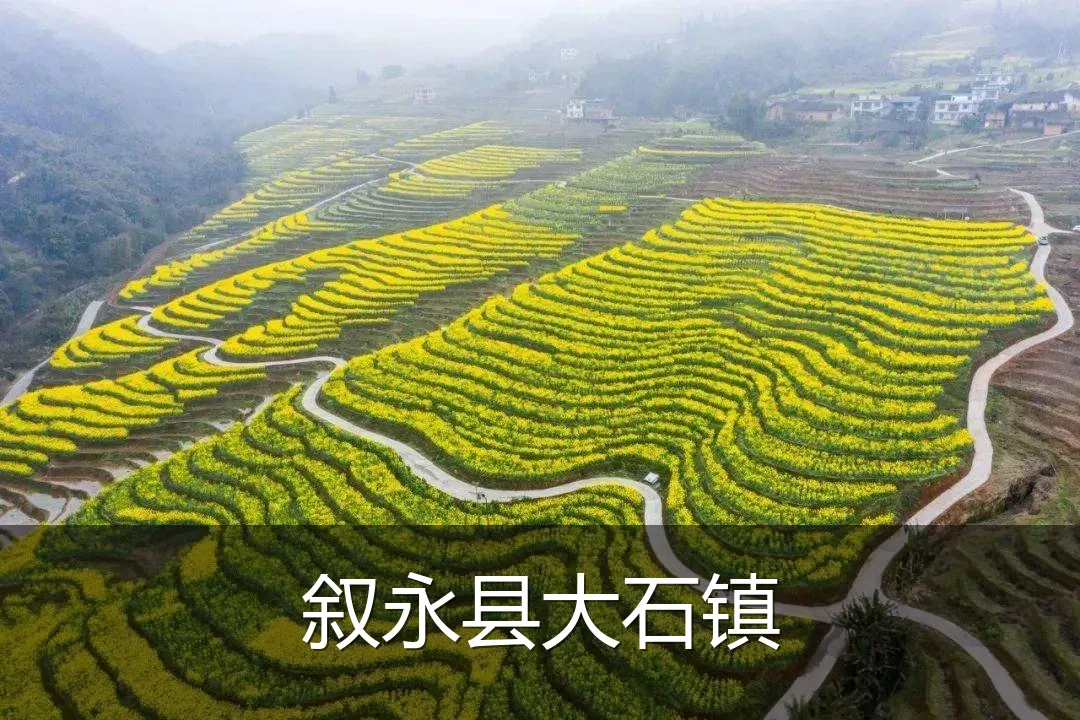 叙永县大石镇