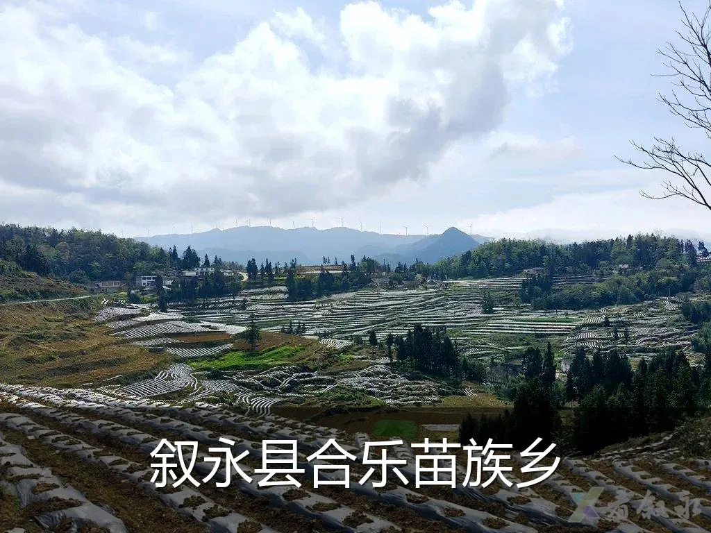 叙永县合乐苗族乡