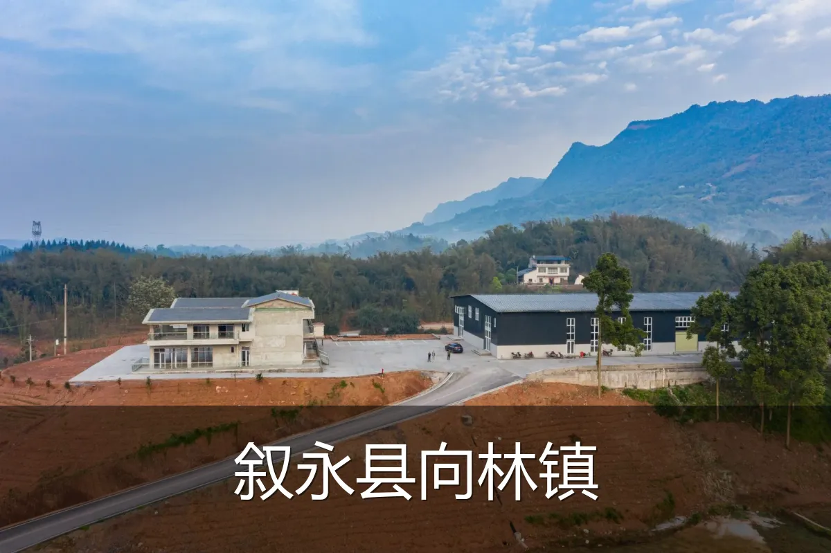 叙永县向林镇